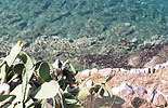 Cacti and Ocean, Spinalonga, Crete