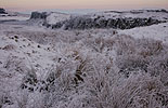 Winter Grass and Cliffs, Northumberland