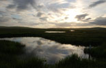 Loch of Banks, Orkney West Mainland